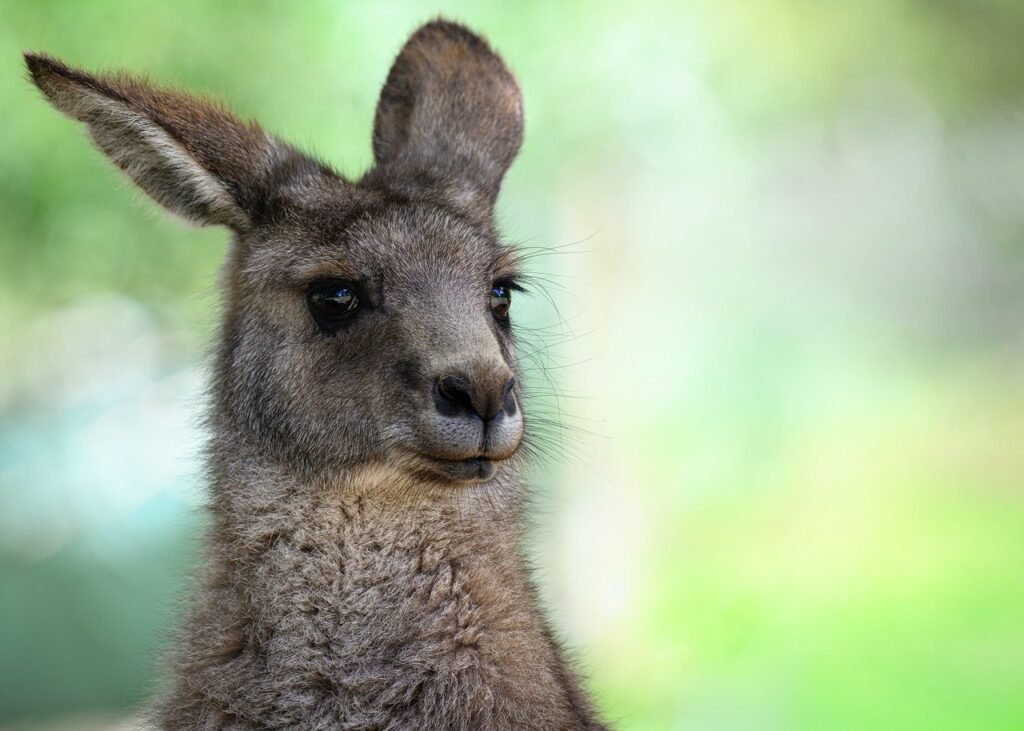 ALT: 광주룸알바 정보 이미지